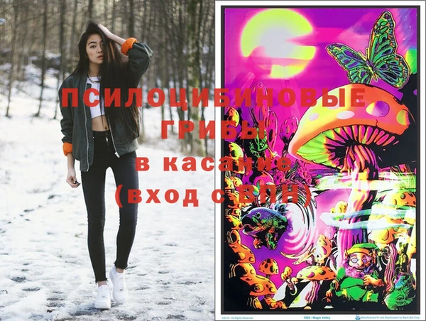 прущие грибы Надым