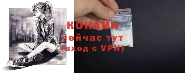 прущие грибы Надым