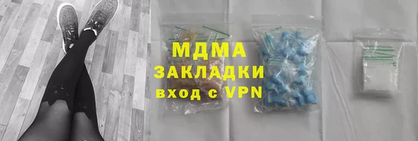 прущие грибы Надым