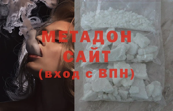 прущие грибы Надым