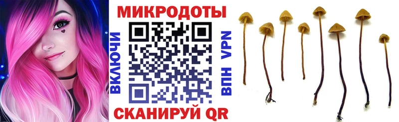 Псилоцибиновые грибы Psilocybe  Нолинск 